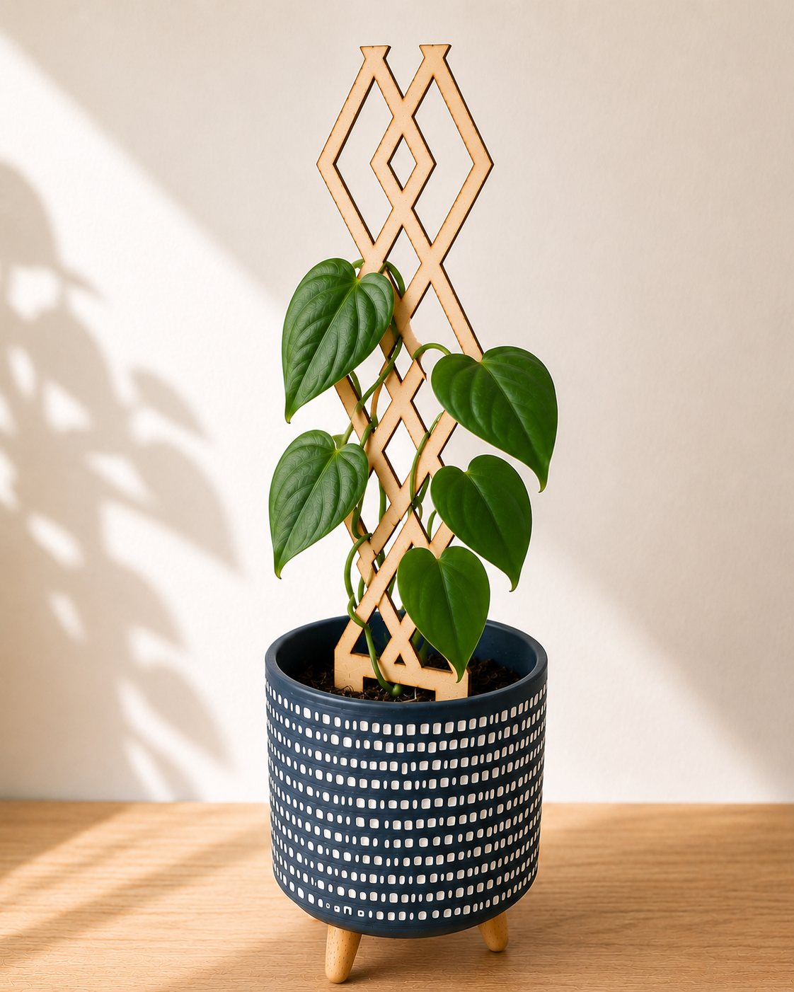 Plant Trellises