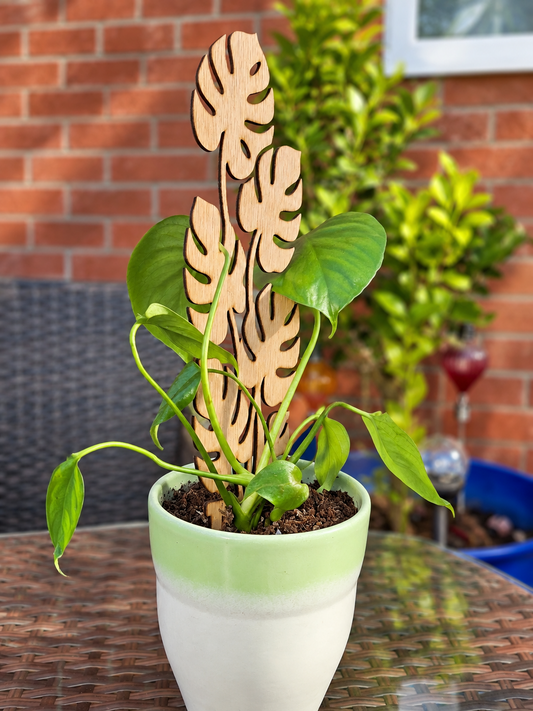 Monstera Leaf Wooden Plant Trellis