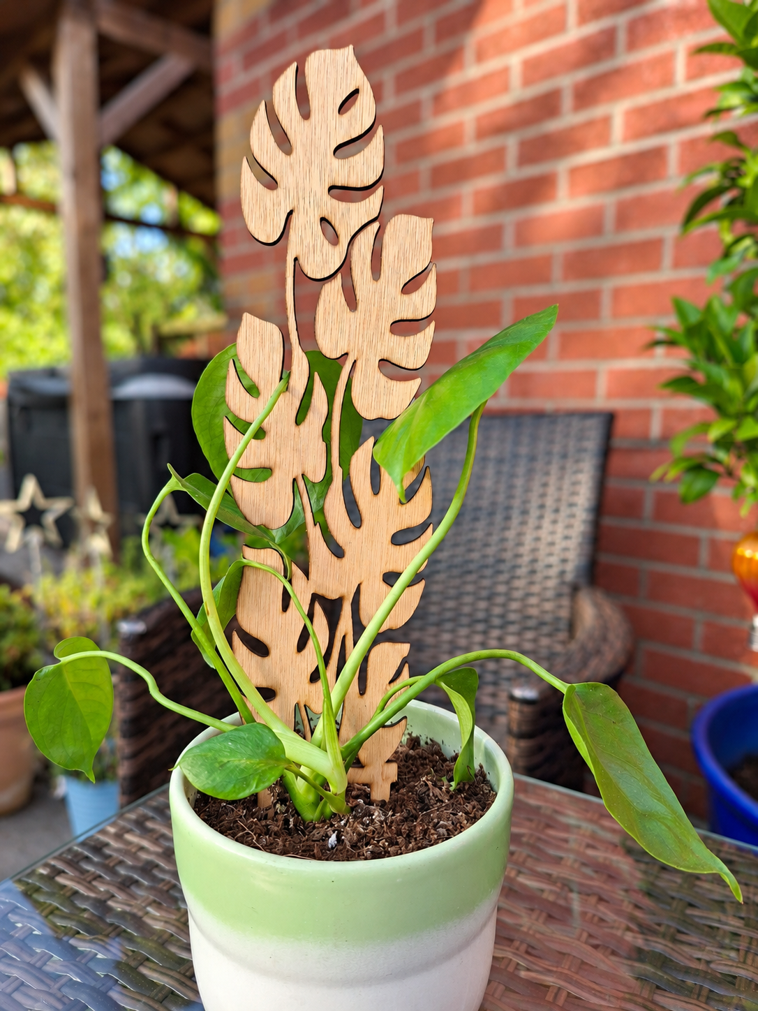 Monstera Leaf Wooden Plant Trellis