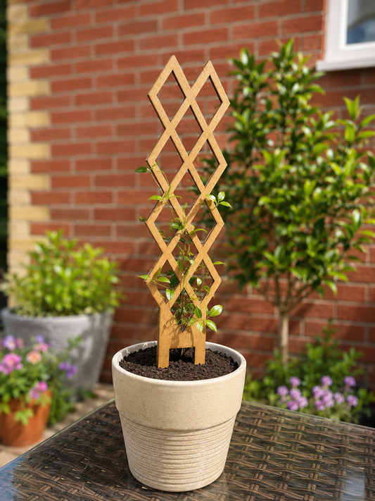 Diamond Wooden Plant Trellis