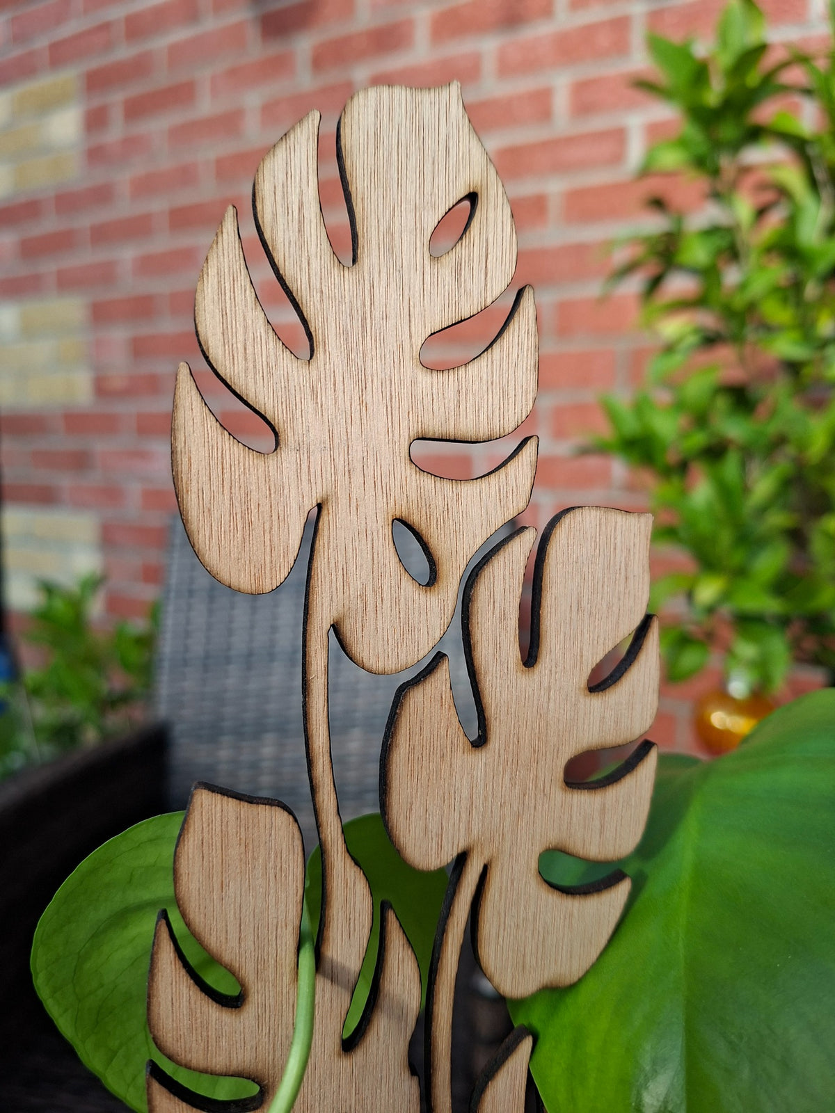 Monstera Leaf Wooden Plant Trellis
