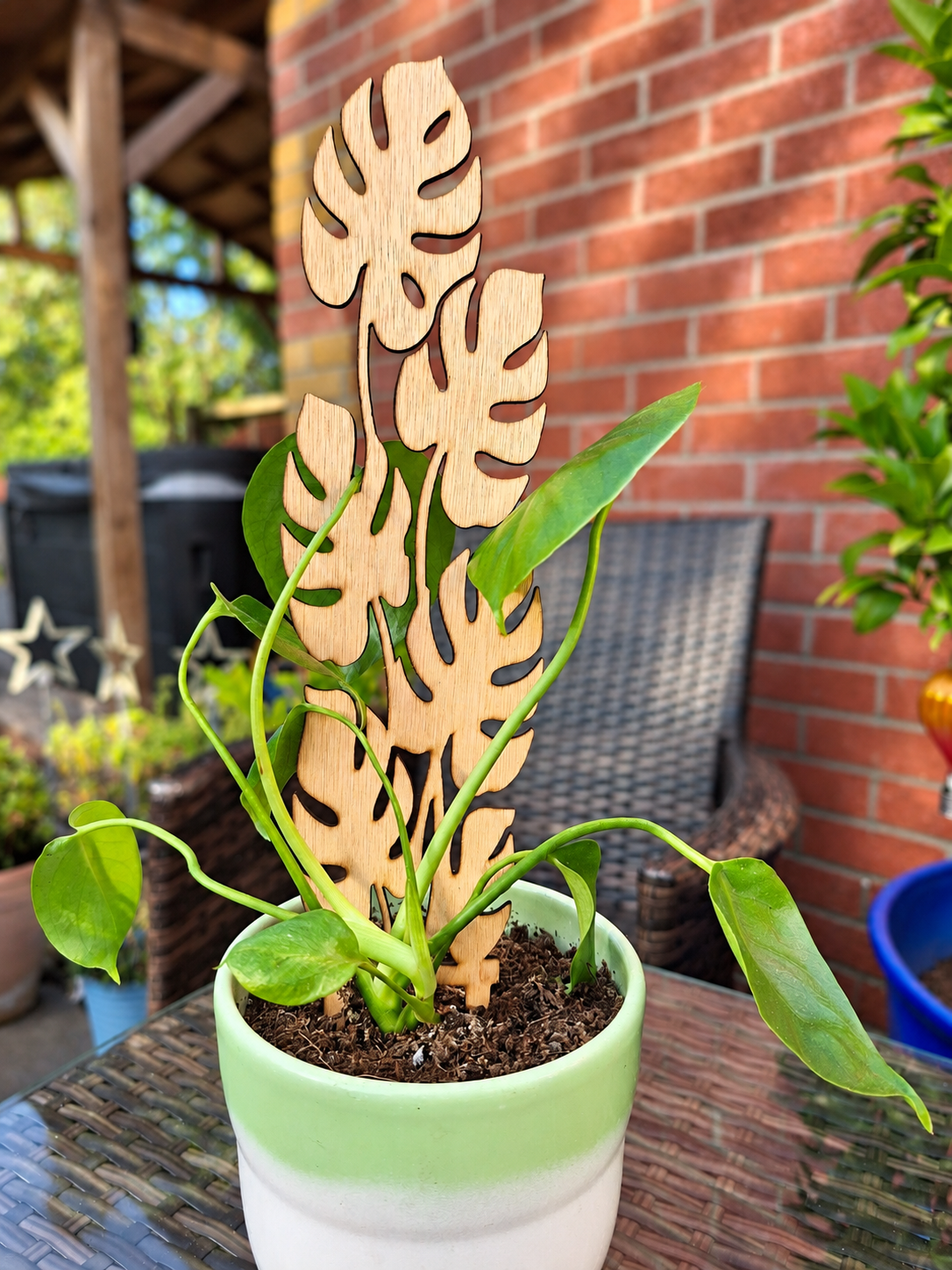 Monstera Leaf Wooden Plant Trellis