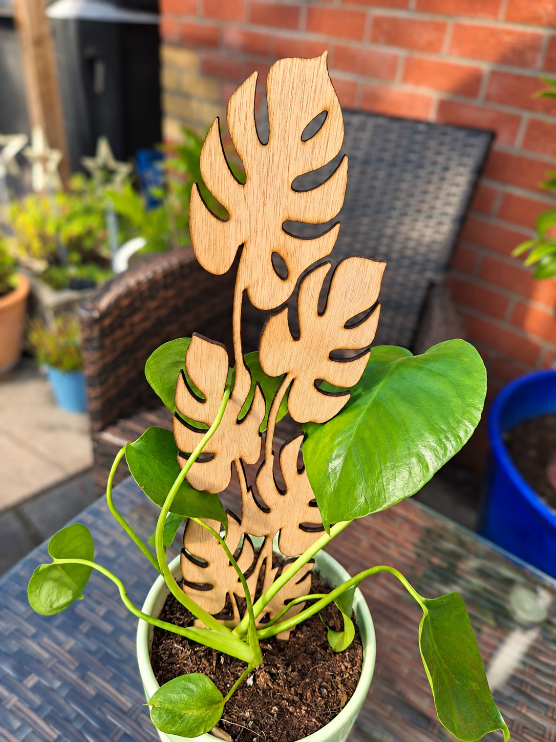 Monstera Leaf Wooden Plant Trellis