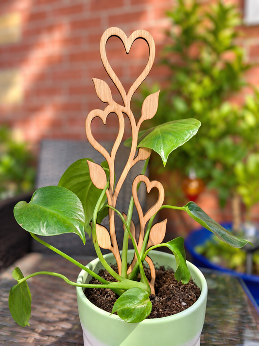 Love Tree Plant Trellis – Wooden Climbing Plant Support – Heart & Leaf Design