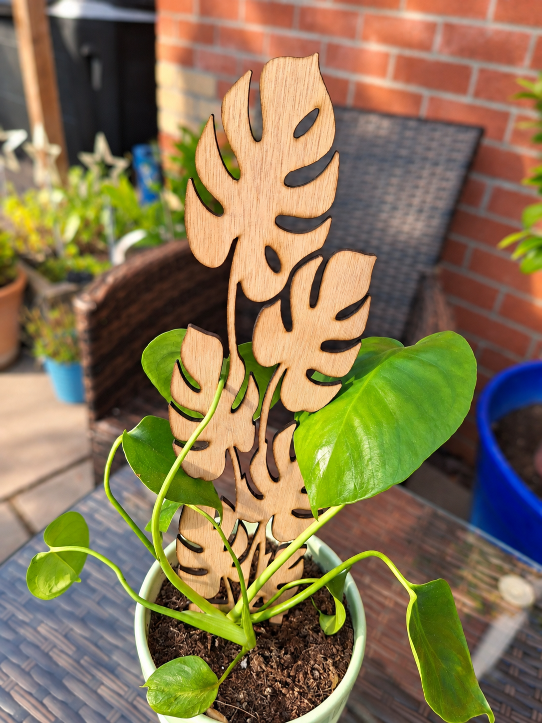 Monstera Leaf Wooden Plant Trellis
