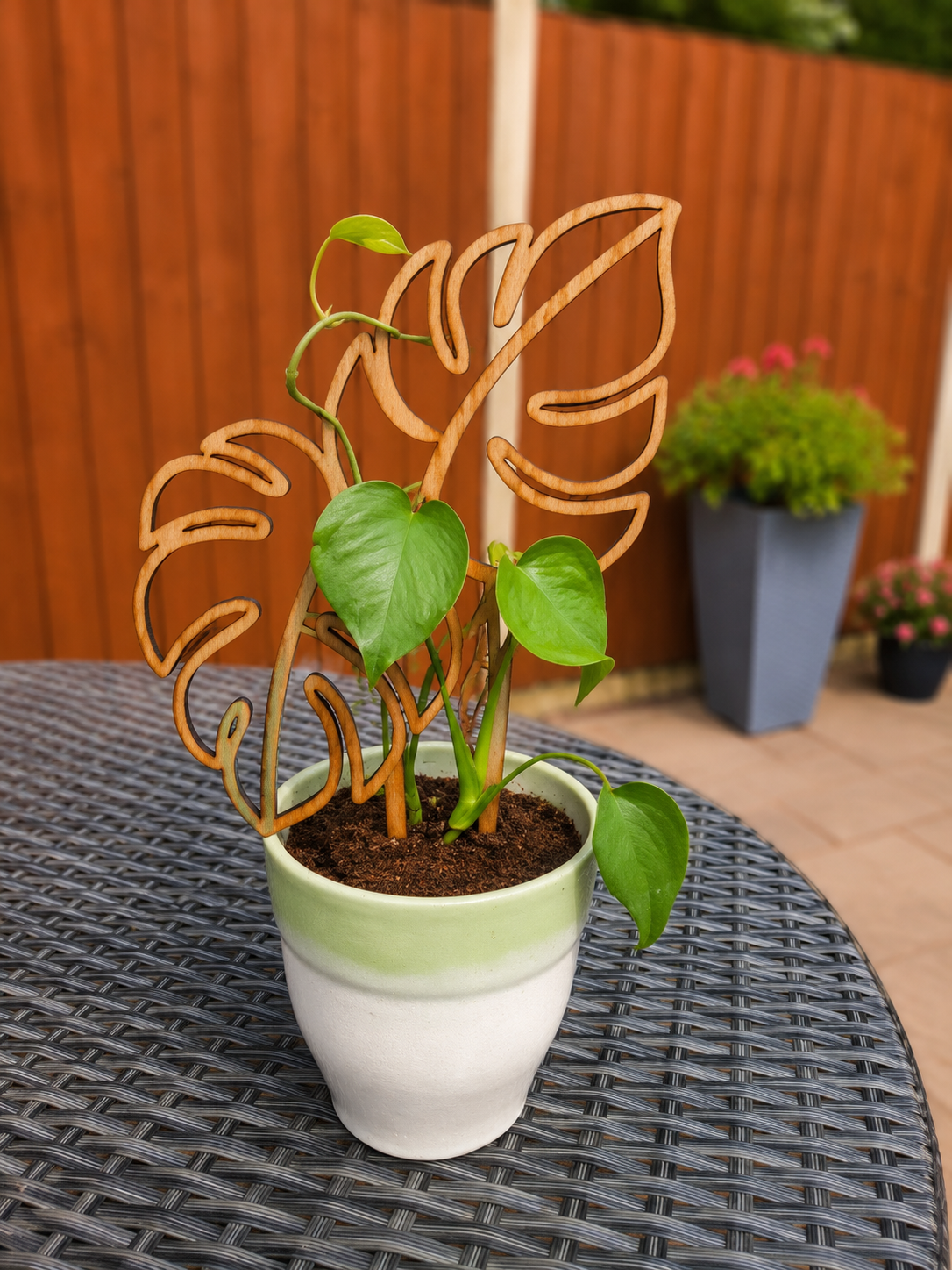 Multi-Leaf Monstera Plant Trellis – Decorative Climbing Plant Support