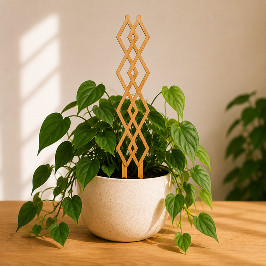 Harlequin Plant Trellis – Decorative Support for Climbing Houseplants