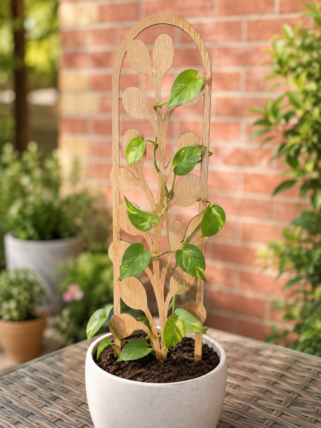 Willow Vine Plant Trellis